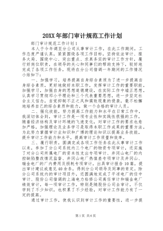20XX年部门审计规范工作计划
