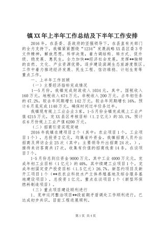 镇XX年上半年工作总结及下半年工作安排 