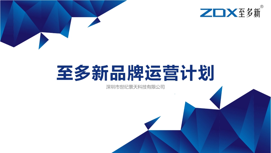 至多新品牌运营计划_第1页