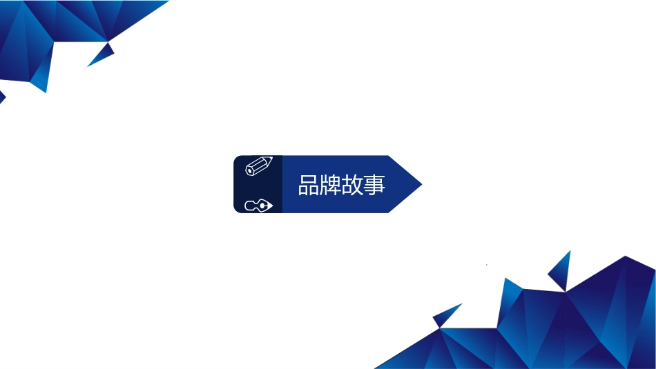 至多新品牌运营计划_第2页