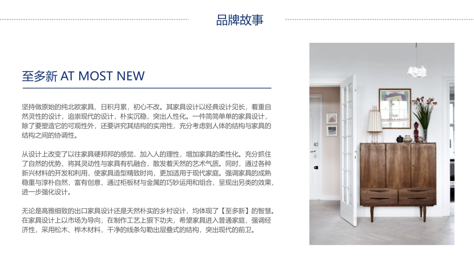 至多新品牌运营计划_第3页