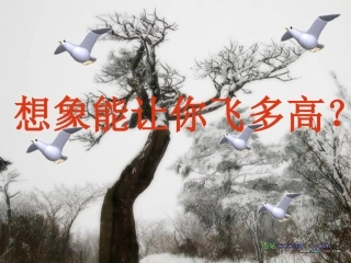 想象能让你飞多高？