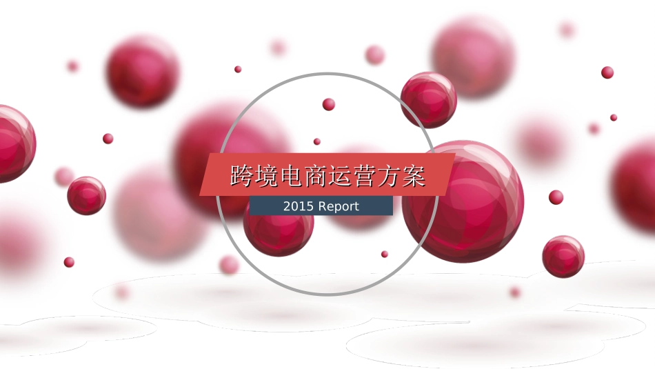 跨境电商运营方案_第1页