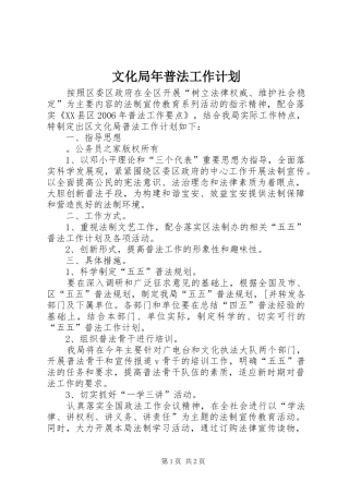 文化局年普法工作计划 