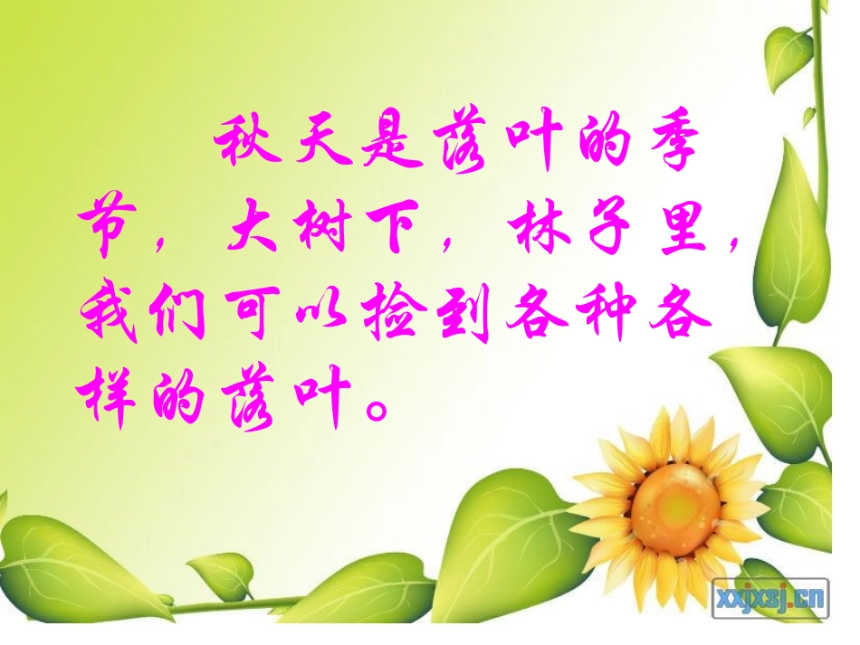 教科版三年级科学上册植物的叶_第2页