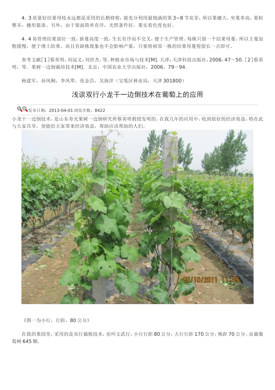 葡萄小龙干高效栽培技术一边倒技术_第3页