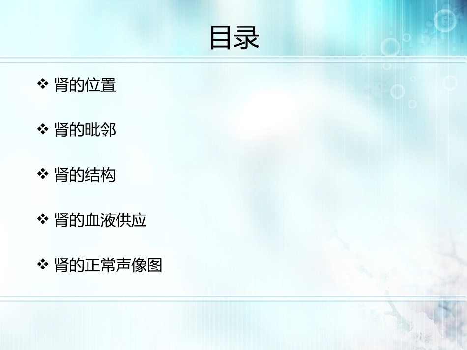 肾脏的超声表现_第2页