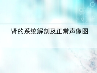 肾脏的超声表现
