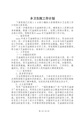 乡卫生院工作计划 