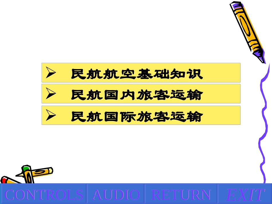 民航旅客运输_第2页