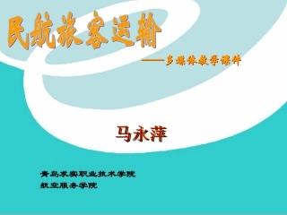 民航旅客运输