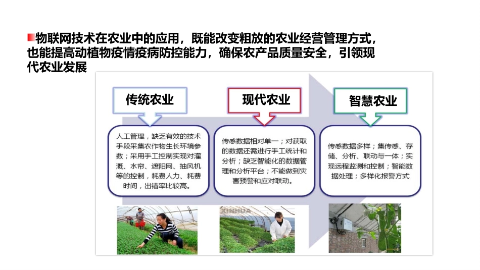 智慧农业整体解决方案_第3页