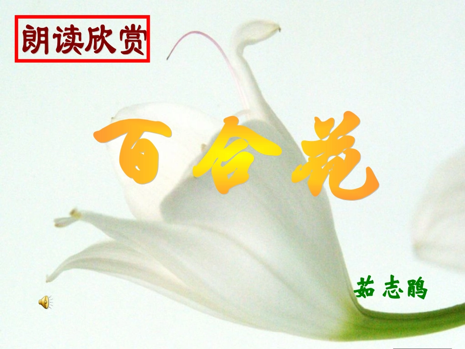 十四_小说家谈小说_第3页