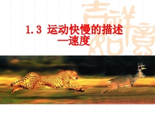 高一物理精品课件集+13运动快慢的描述----速度（共21张PPT）