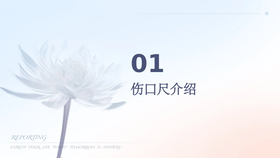 伤口尺应用及伤口照片拍摄护理课件_第3页