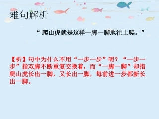 《爬山虎的脚》难句解析四