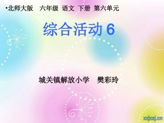综合活动6课件