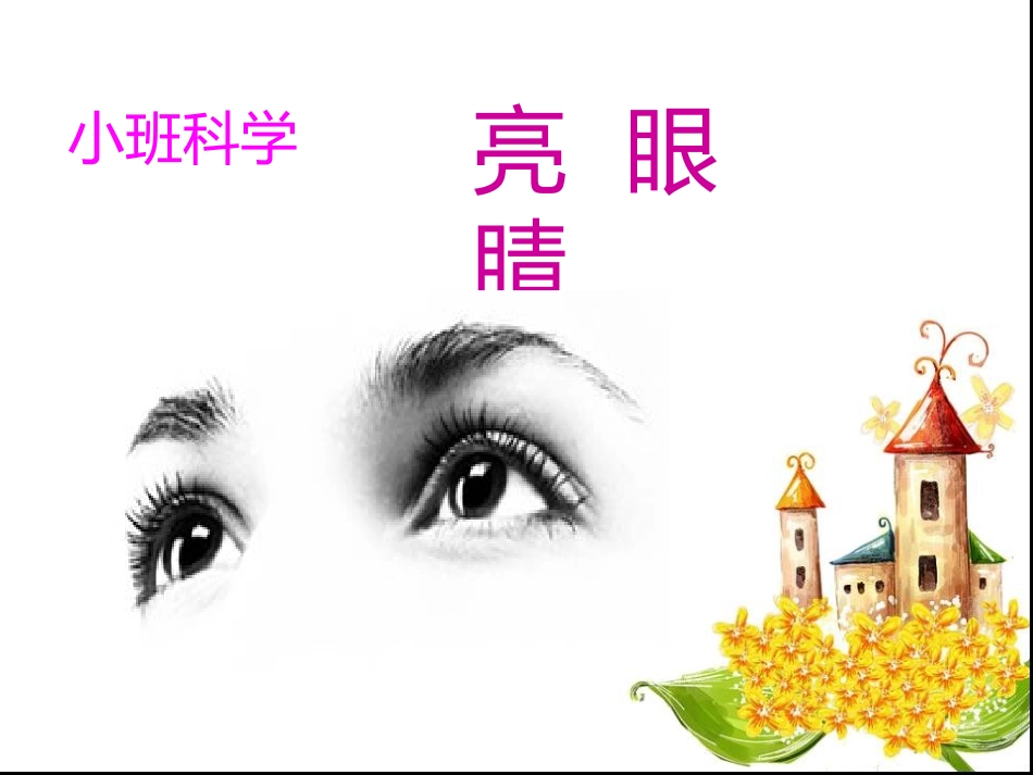 小班科学《亮眼睛》_第1页
