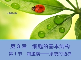 细胞膜——系统的边界2