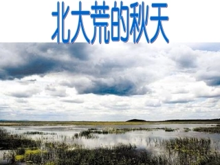 苏教版三上5北大荒的秋天