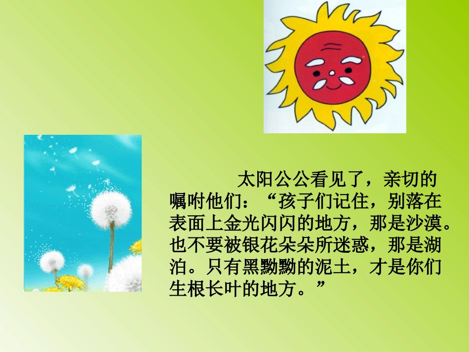 蒲公英 (3)_第3页