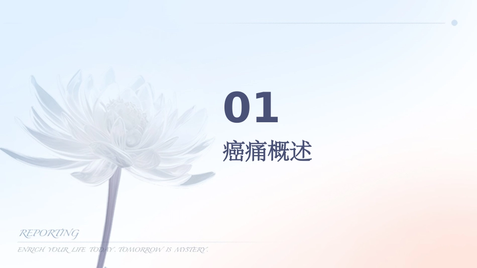 癌痛规范化病例分享课件_第3页