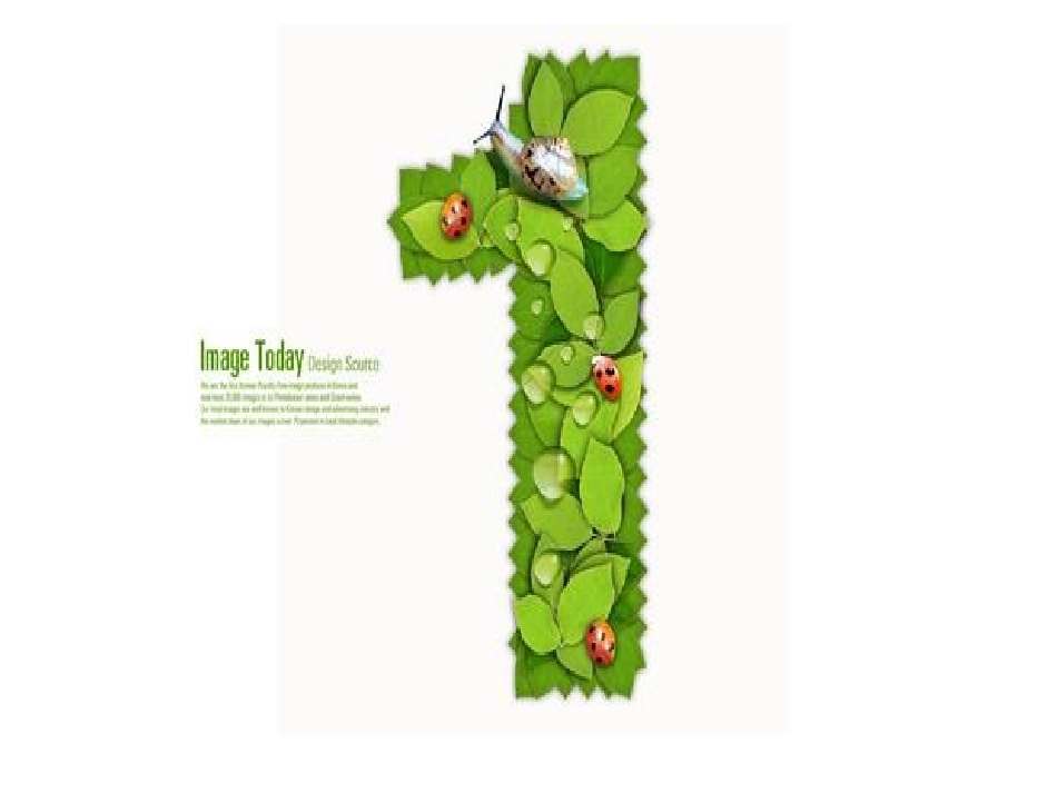 认识数字宝宝_第2页