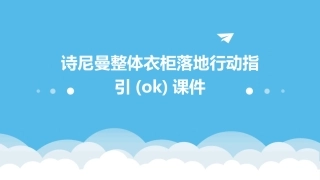 诗尼曼整体衣柜落地行动指引(OK)课件