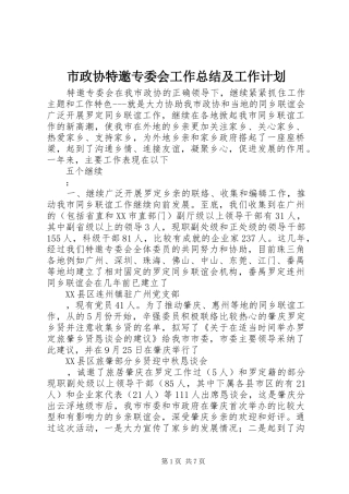 市政协特邀专委会工作总结及工作计划 
