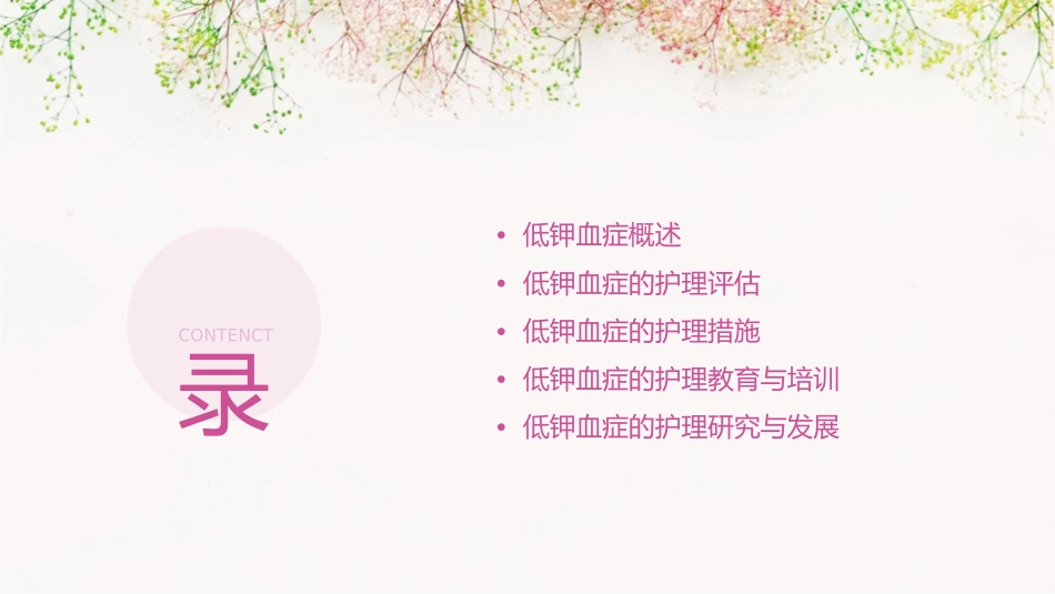 低钾血症护理查房通用课件1_第2页