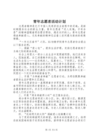 青年志愿者活动计划 
