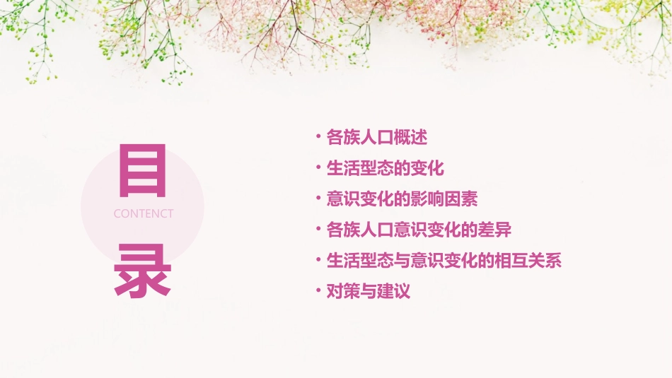 从各族人口看生活型态与意识变化课件_第2页