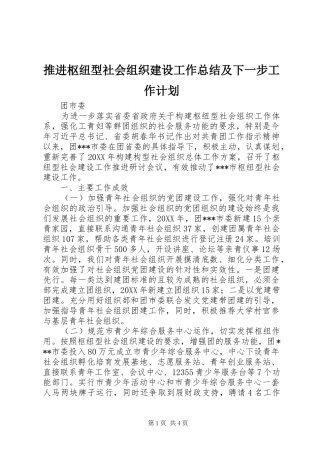 推进枢纽型社会组织建设工作总结及下一步工作计划 