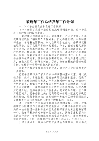 政府年工作总结及年工作计划 