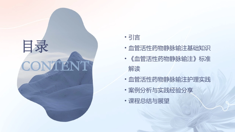 《血管活性药物静脉输注》标准解读护理课件_第2页