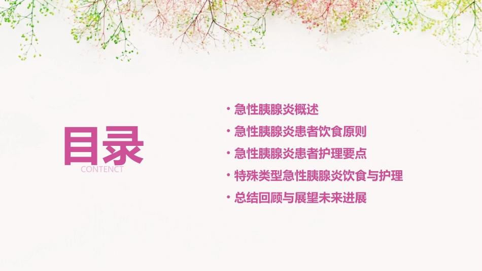 急性胰腺炎患者的饮食与护理课件_第2页