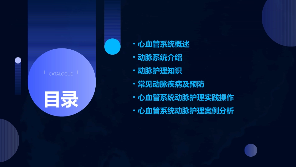 人体解剖学 心血管系统动脉护理课件_第2页