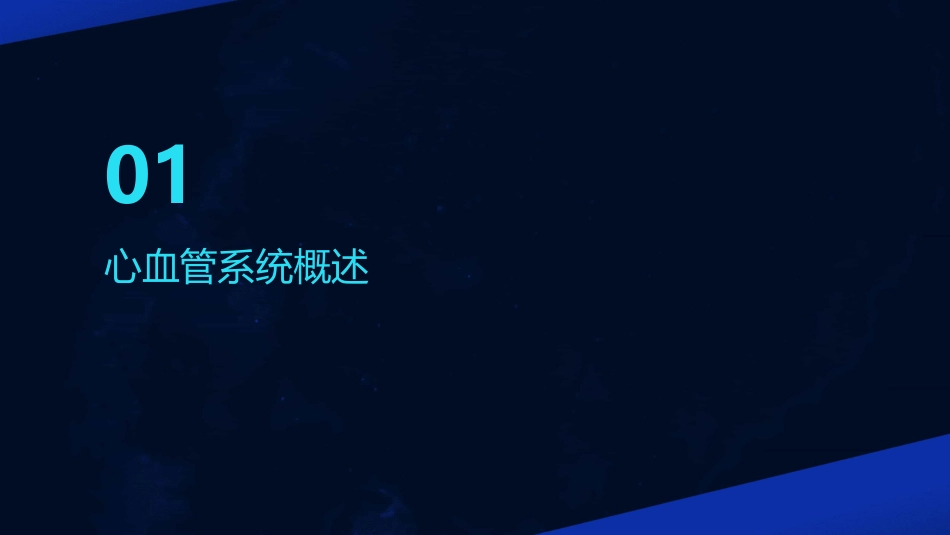 人体解剖学 心血管系统动脉护理课件_第3页