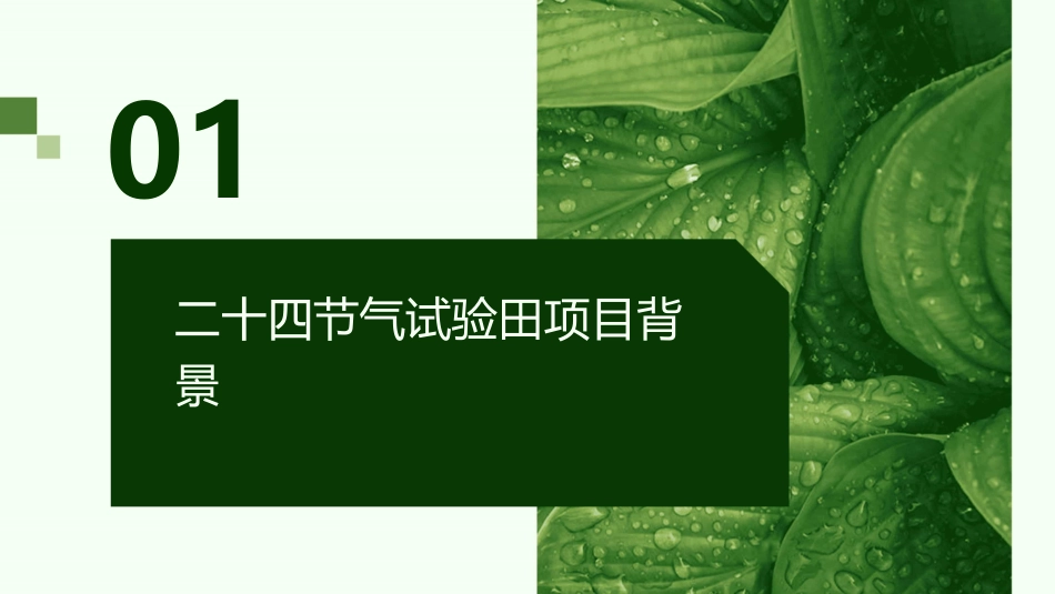 二十四节气试验田实施方案高课件_第3页