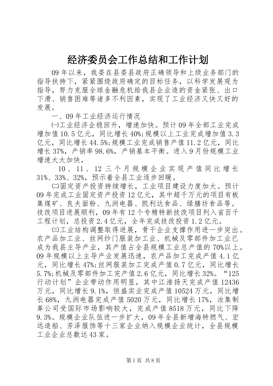 经济委员会工作总结和工作计划 _第1页