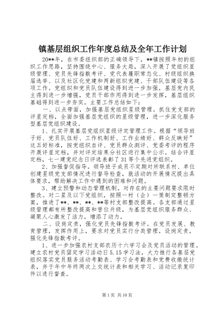 镇基层组织工作年度总结及全年工作计划 