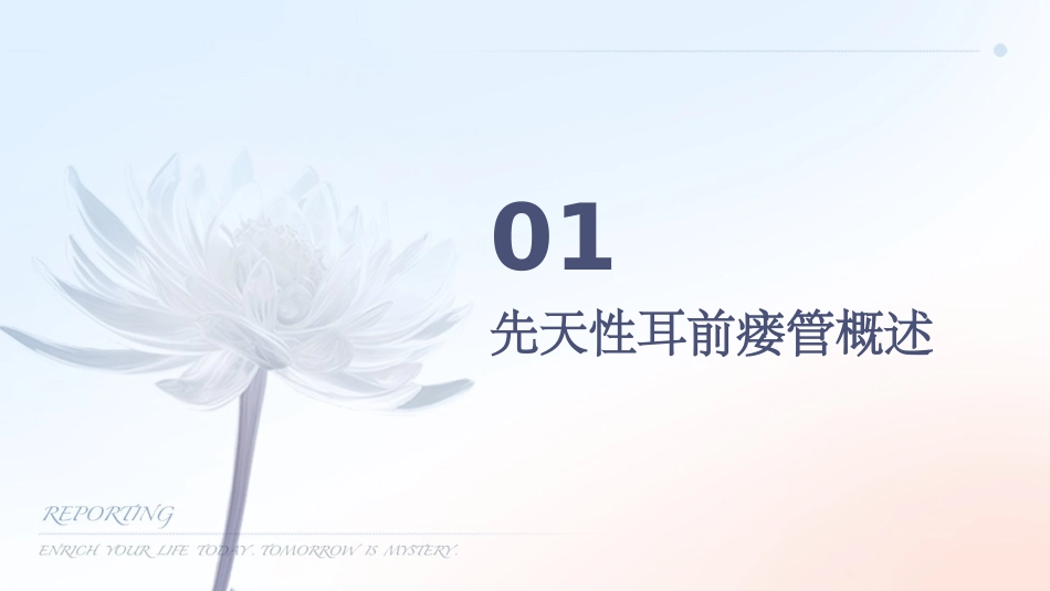 先天性耳前瘘管课件_第3页