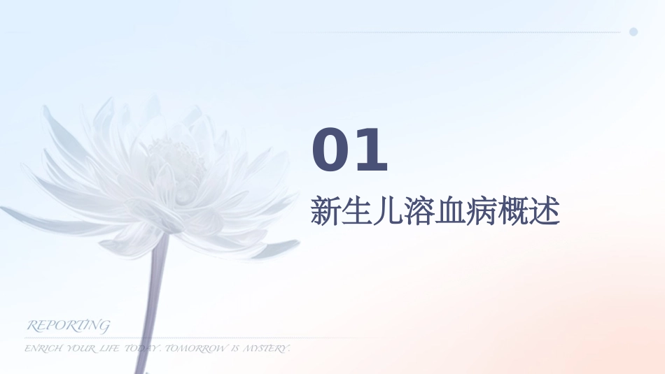 人卫版新生儿溶血病教学护理课件_第3页