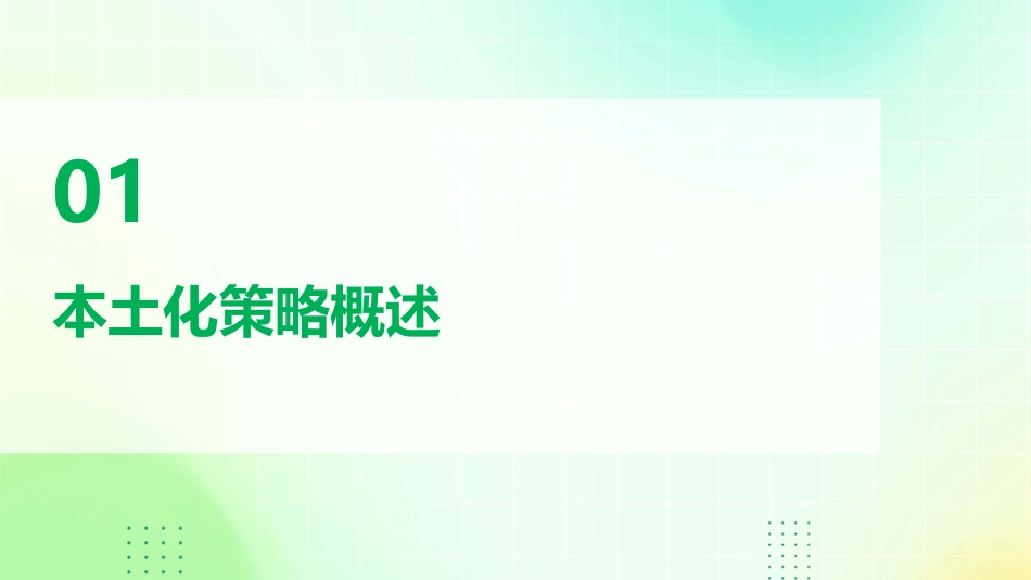 本土化策略个案研究课件_第3页