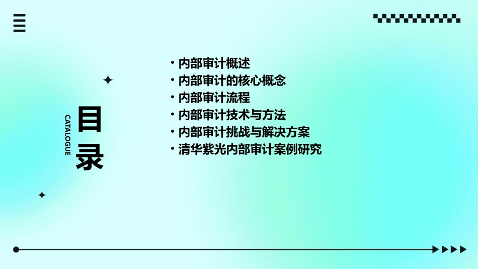 清华紫光管理流程手册内部审计课件_第2页