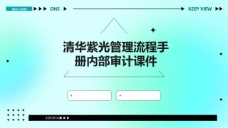 清华紫光管理流程手册内部审计课件