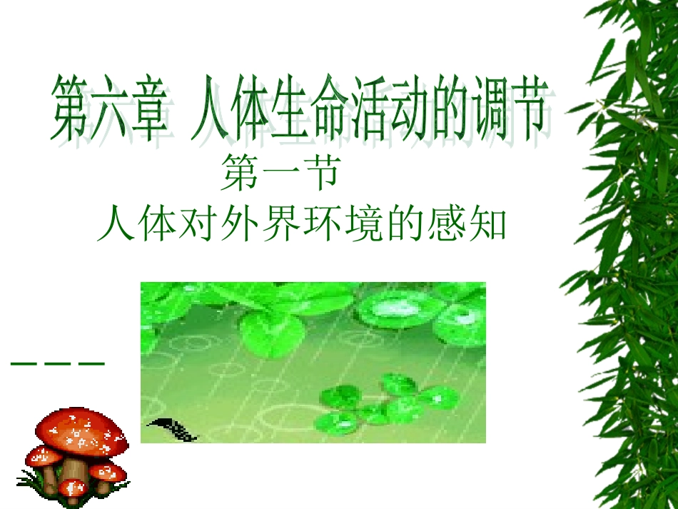 第一节人体对外界环境的感知──眼和视觉2_第1页