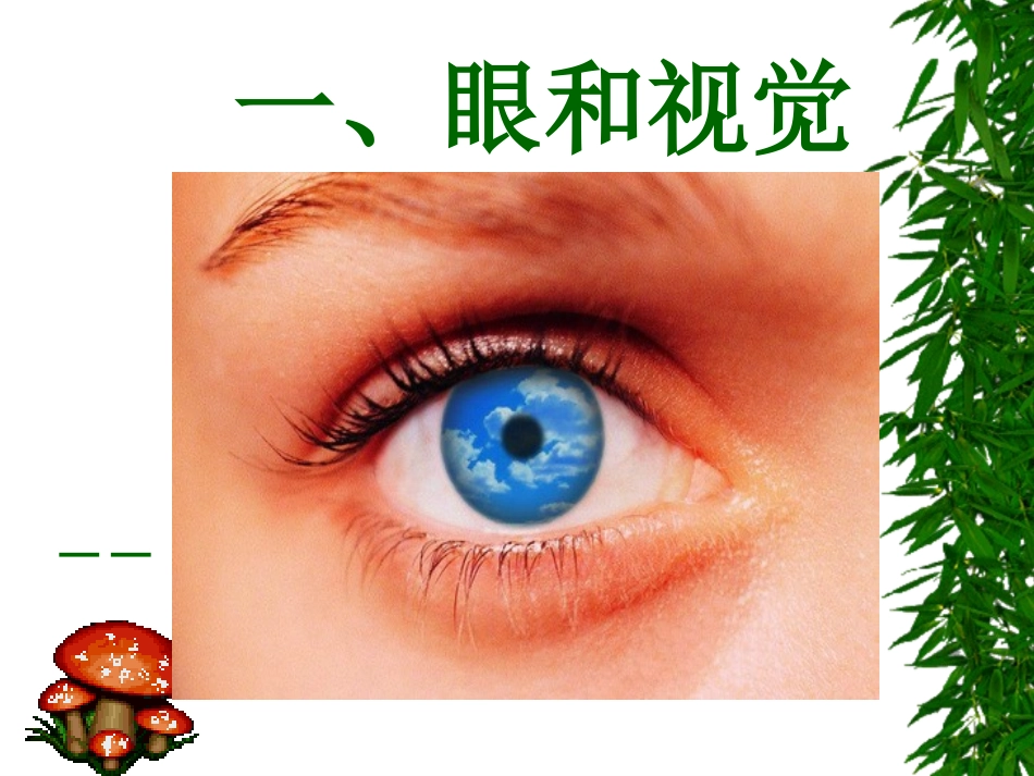 第一节人体对外界环境的感知──眼和视觉2_第3页