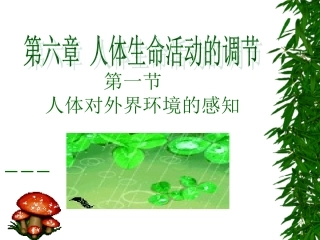 第一节人体对外界环境的感知──眼和视觉2