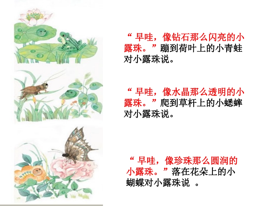 小露珠第二课时演示文稿_第2页